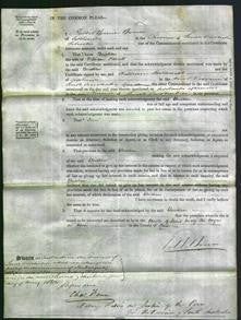 Court of Common Pleas - Christian Prescott-Original Ancestry