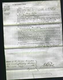 Court of Common Pleas - Clara Fisher Lowick-Original Ancestry