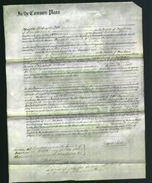 Court of Common Pleas - Elizabeth Wilson-Original Ancestry