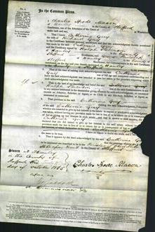 Court of Common Pleas - Catherine Guy-Original Ancestry