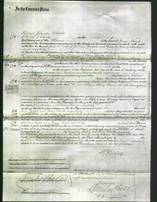 Court of Common Pleas - Jane Atwell and Mary Month-Original Ancestry