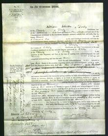 Court of Common Pleas - Annie Cox-Original Ancestry