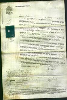 Court of Common Pleas - Elizabeth Daun-Original Ancestry