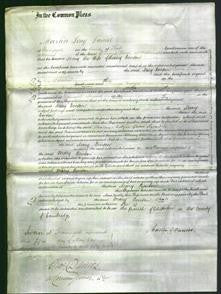 Court of Common Pleas - Mary Benson-Original Ancestry