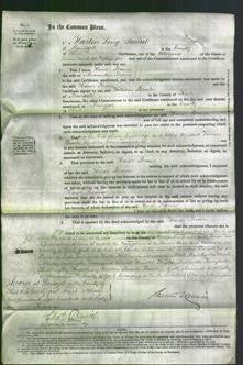 Court of Common Pleas - Honor Brown-Original Ancestry