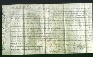 Court of Common Pleas - Sarah Allen-Original Ancestry