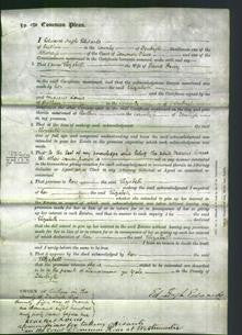 Court of Common Pleas - Elizabeth Parry-Original Ancestry