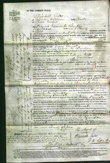 Court of Common Pleas - Mary Daniels-Original Ancestry