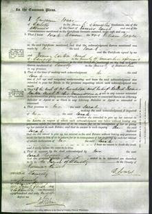 Court of Common Pleas - Sarah Bowen-Original Ancestry