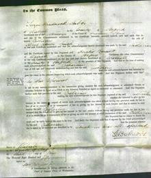 Court of Common Pleas - Catharine Smith-Original Ancestry