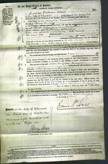 Court of Common Pleas - Julia Mary Ann Emmerton-Original Ancestry