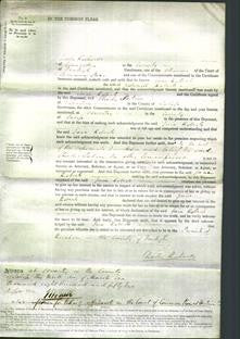 Court of Common Pleas - Jane Roberts-Original Ancestry