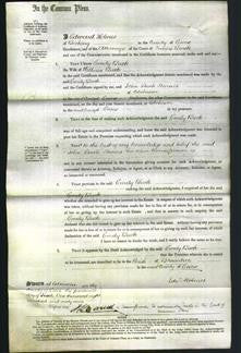 Court of Common Pleas - Emily Buck-Original Ancestry