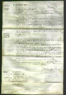 Court of Common Pleas - Sarah Dawes-Original Ancestry