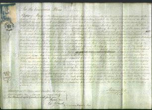Court of Common Pleas - Mary Elizabeth Leaver-Original Ancestry
