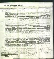 Court of Common Pleas - Catherine Liddell-Original Ancestry