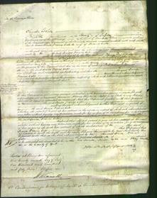 Court of Common Pleas - Louisa Frances Cator-Original Ancestry