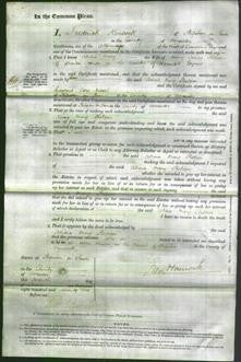 Court of Common Pleas - Alicia Mary Sheldon-Original Ancestry