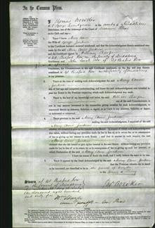 Court of Common Pleas - Mary Anne Jackson-Original Ancestry
