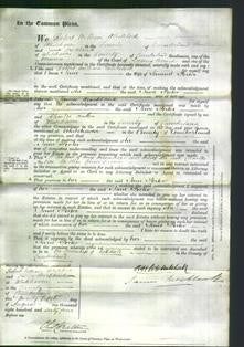 Court of Common Pleas - Jane Porter-Original Ancestry