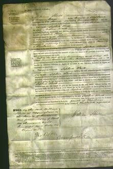 Court of Common Pleas - Sophia Hack-Original Ancestry