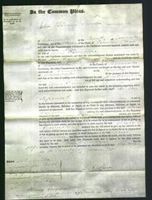 Court of Common Pleas - Ann Caruthers-Original Ancestry