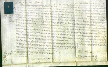 Court of Common Pleas - Mary Mayhew, Frances Everson-Original Ancestry