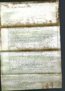 Court of Common Pleas - Susanna Smith-Original Ancestry