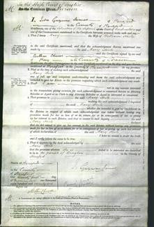 Court of Common Pleas - Mary Hoile-Original Ancestry