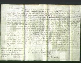 Court of Common Pleas - Lucy Philpott and Mary Powell-Original Ancestry