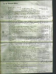 Court of Common Pleas - Louisa Adams, Caroline Taylor and Fanny Wilkins-Original Ancestry