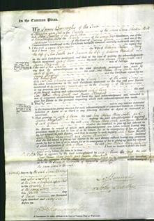 Court of Common Pleas - Jane Milner, Mary Smith and Emma Marshall-Original Ancestry