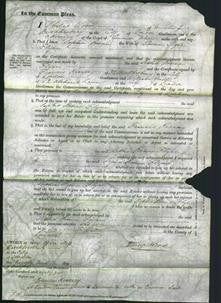 Court of Common Pleas - Sophia Rosina Flynn-Original Ancestry