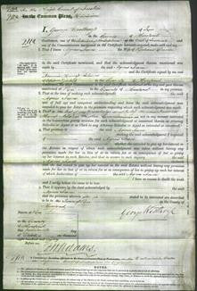 Court of Common Pleas - Agnes Jane Davies-Original Ancestry