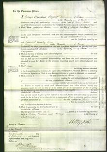 Court of Common Pleas - Adelaide Louisa Newland-Original Ancestry