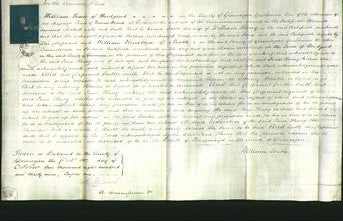 Court of Common Pleas - Jane Henry-Original Ancestry