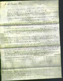 Court of Common Pleas - Ann Widdowson