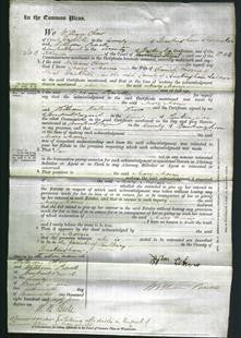 Court of Common Pleas - Mary Morris-Original Ancestry