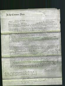 Court of Common Pleas - Elizabeth Wilson-Original Ancestry