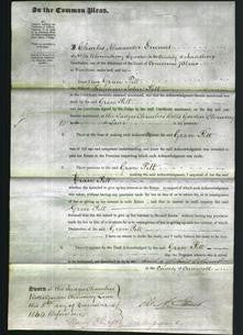 Court of Common Pleas - Grace Pitt-Original Ancestry