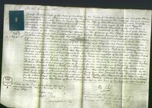 Court of Common Pleas - Elizabeth Pentecost-Original Ancestry