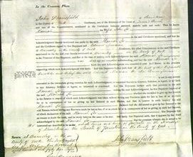 Court of Common Pleas - Hannah Lee-Original Ancestry