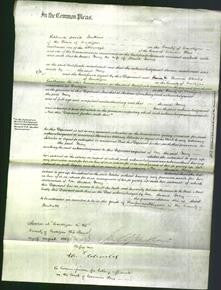 Court of Common Pleas - Mary Morris-Original Ancestry