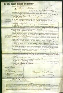 Court of Common Pleas - Mary Niner, Elizabeth Mary Turner-Original Ancestry