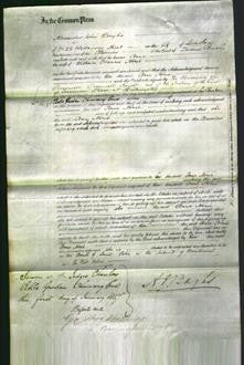 Court of Common Pleas - Anne Norie-Original Ancestry