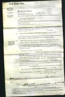 Court of Common Pleas - Emily Buck-Original Ancestry