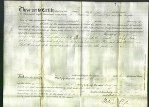 Deed by Married Women - Elizabeth Williams-Original Ancestry