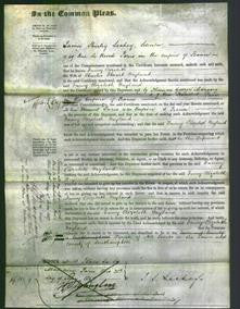 Court of Common Pleas - Fanny Elizabeth Wayland-Original Ancestry