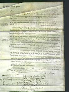 Court of Common Pleas - Elizabeth Bessant-Original Ancestry