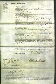 Court of Common Pleas - Elizabeth Norton-Original Ancestry